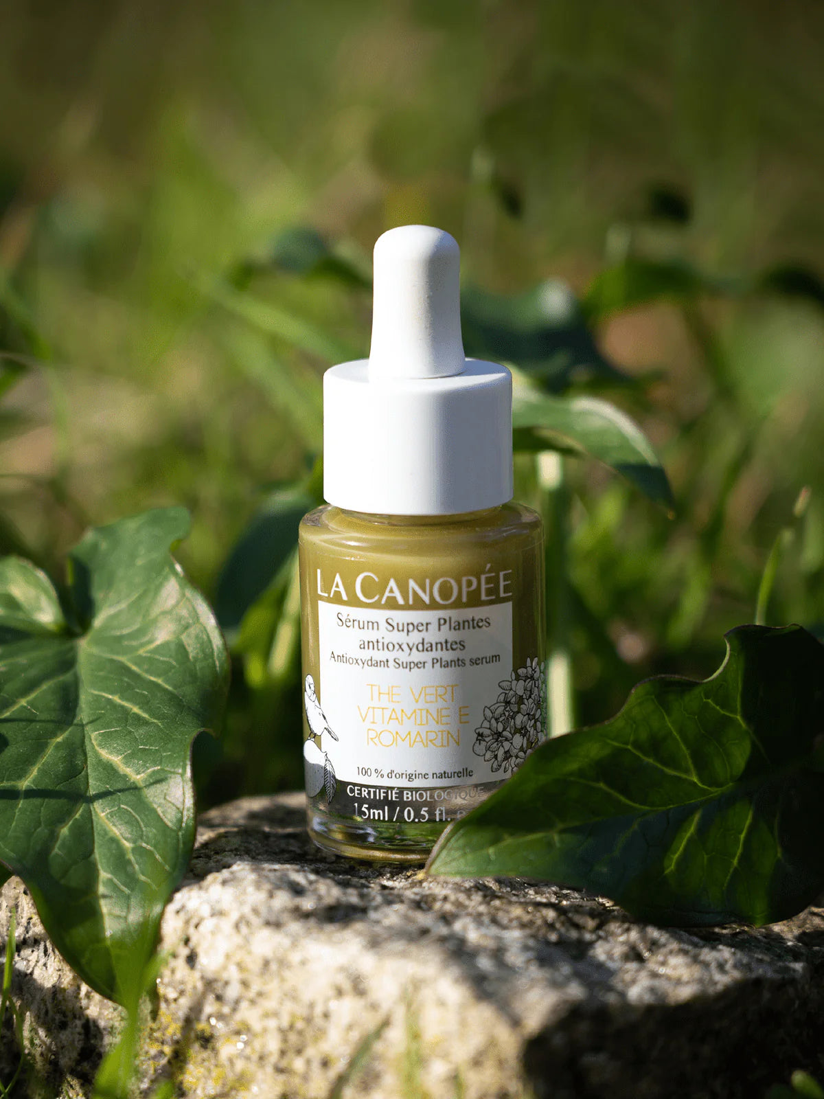 Sérum Super Plantes antioxydantes - La Canopée