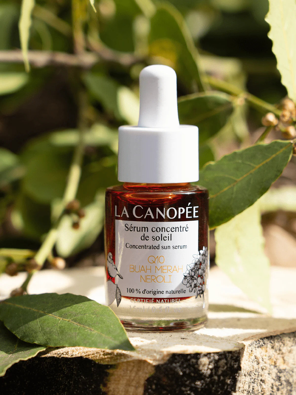 Sérum concentré de soleil - La Canopée