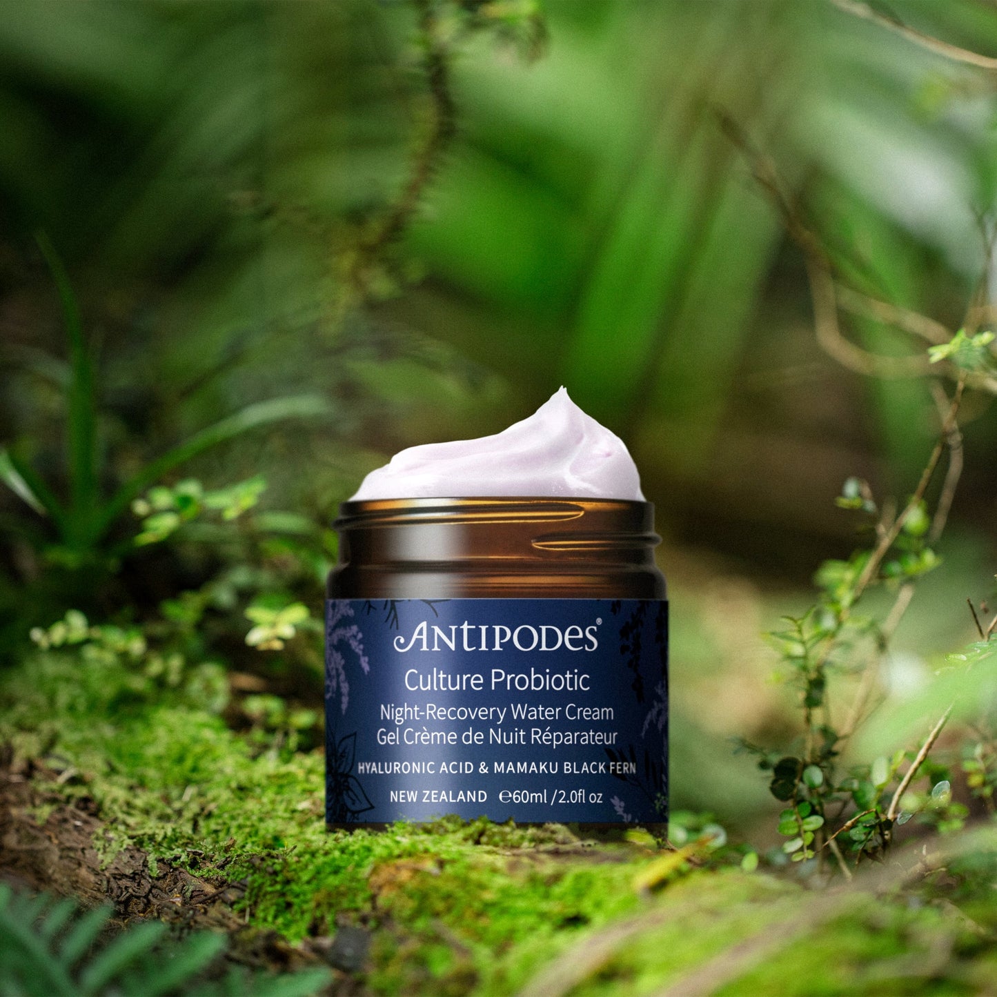 CULTURE - GEL CRÈME DE NUIT RÉPARATEUR AUX PROBIOTIQUES