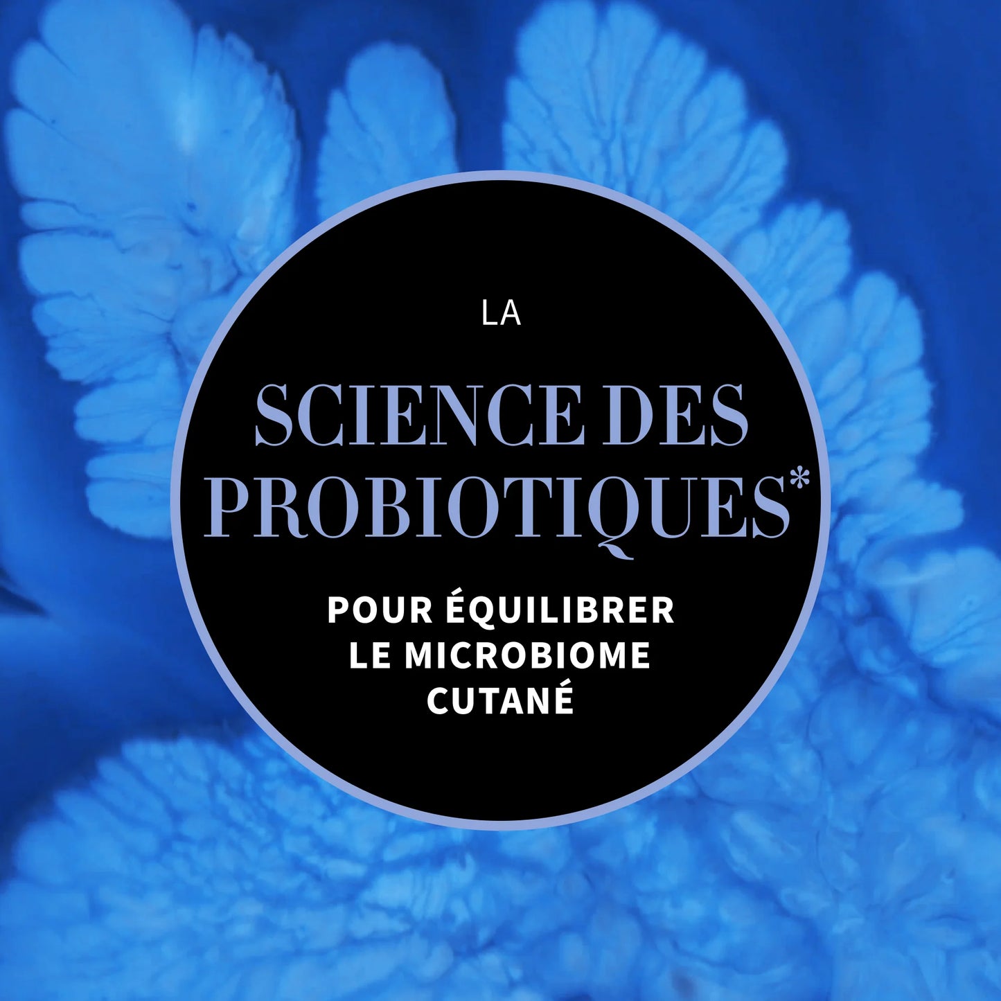 CULTURE - GEL CRÈME DE NUIT RÉPARATEUR AUX PROBIOTIQUES