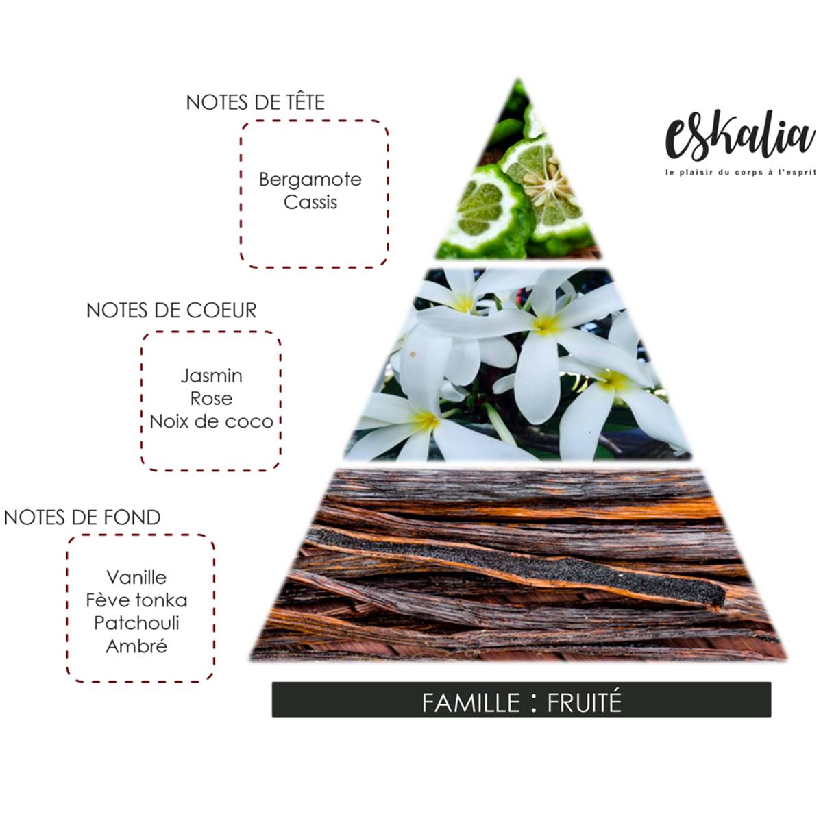 Parfum Sensa N°8 - Escale Costa Rica