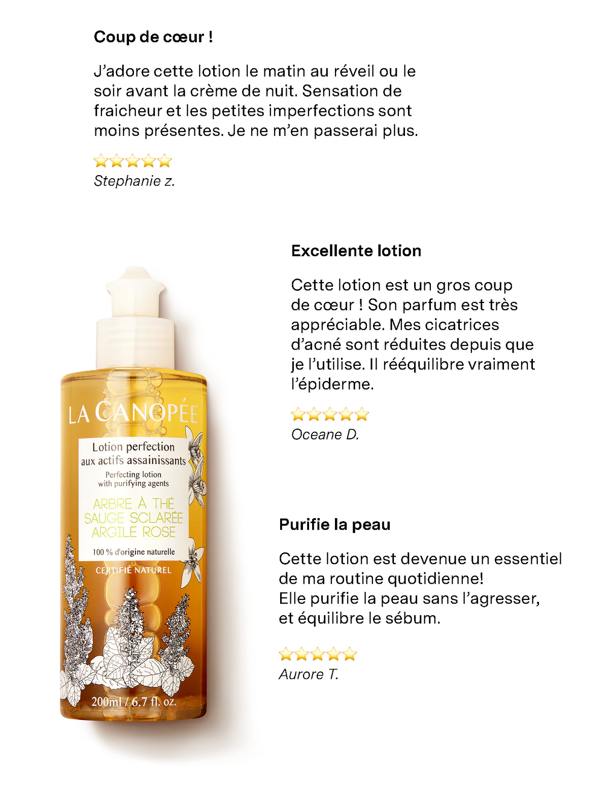 Lotion perfection aux actifs assainissants - La Canopée