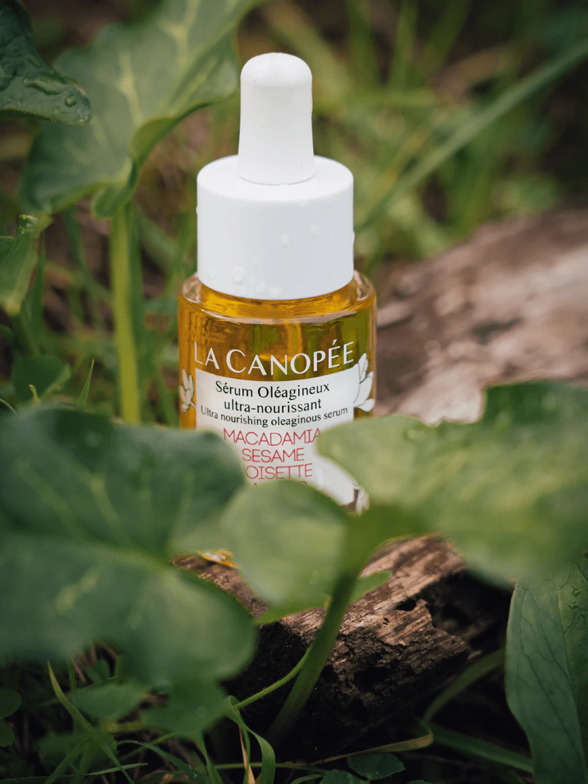 Sérum Oléagineux ultra-nourrissant - La Canopée
