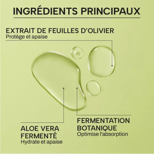 Brume à la feuille d'olivier - Whamisa