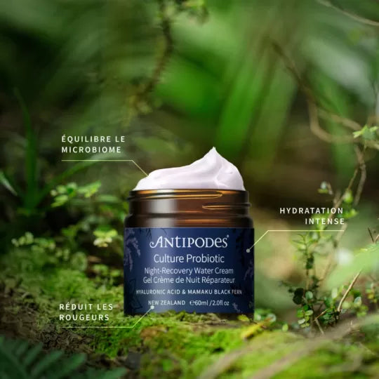 CULTURE - GEL CRÈME DE NUIT RÉPARATEUR AUX PROBIOTIQUES