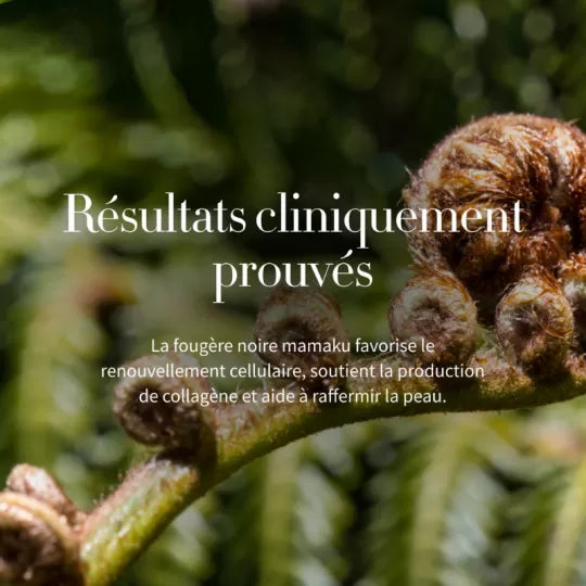 CULTURE - GEL CRÈME DE NUIT RÉPARATEUR AUX PROBIOTIQUES