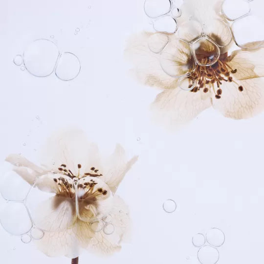 Essence régénérante à la fleur de poirier - Whamisa