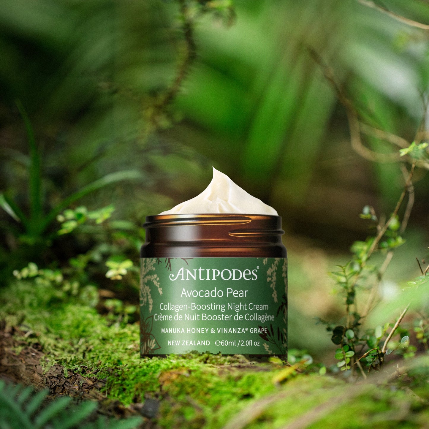 AVOCADO PEAR - CRÈME DE NUIT BOOSTER DE COLLAGÈNE