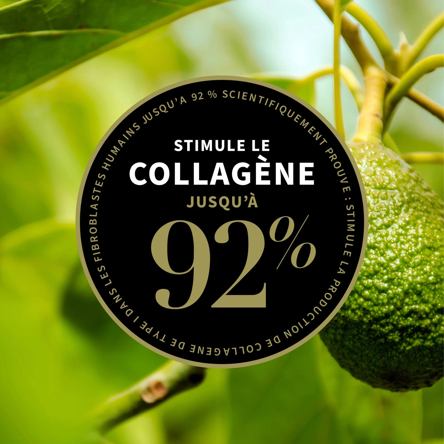 AVOCADO PEAR - CRÈME DE NUIT BOOSTER DE COLLAGÈNE