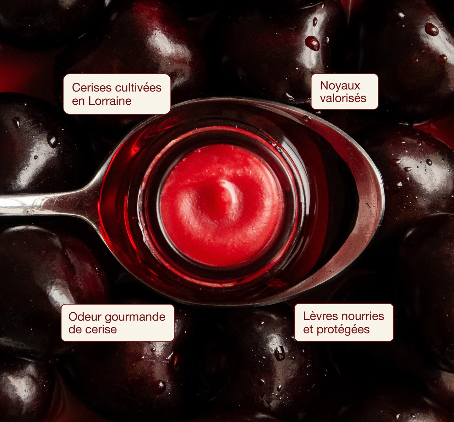 BAUME À LÈVRES CERISE - Oden