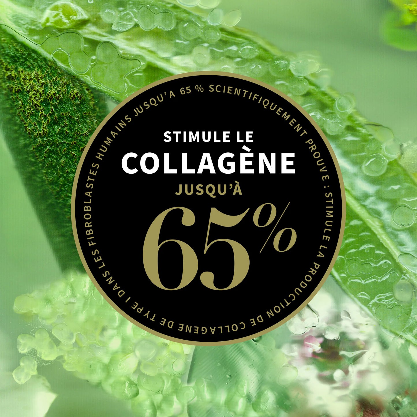 LIME CAVIAR - CRÈME RAFFERMISSANTE RICHE EN COLLAGENE