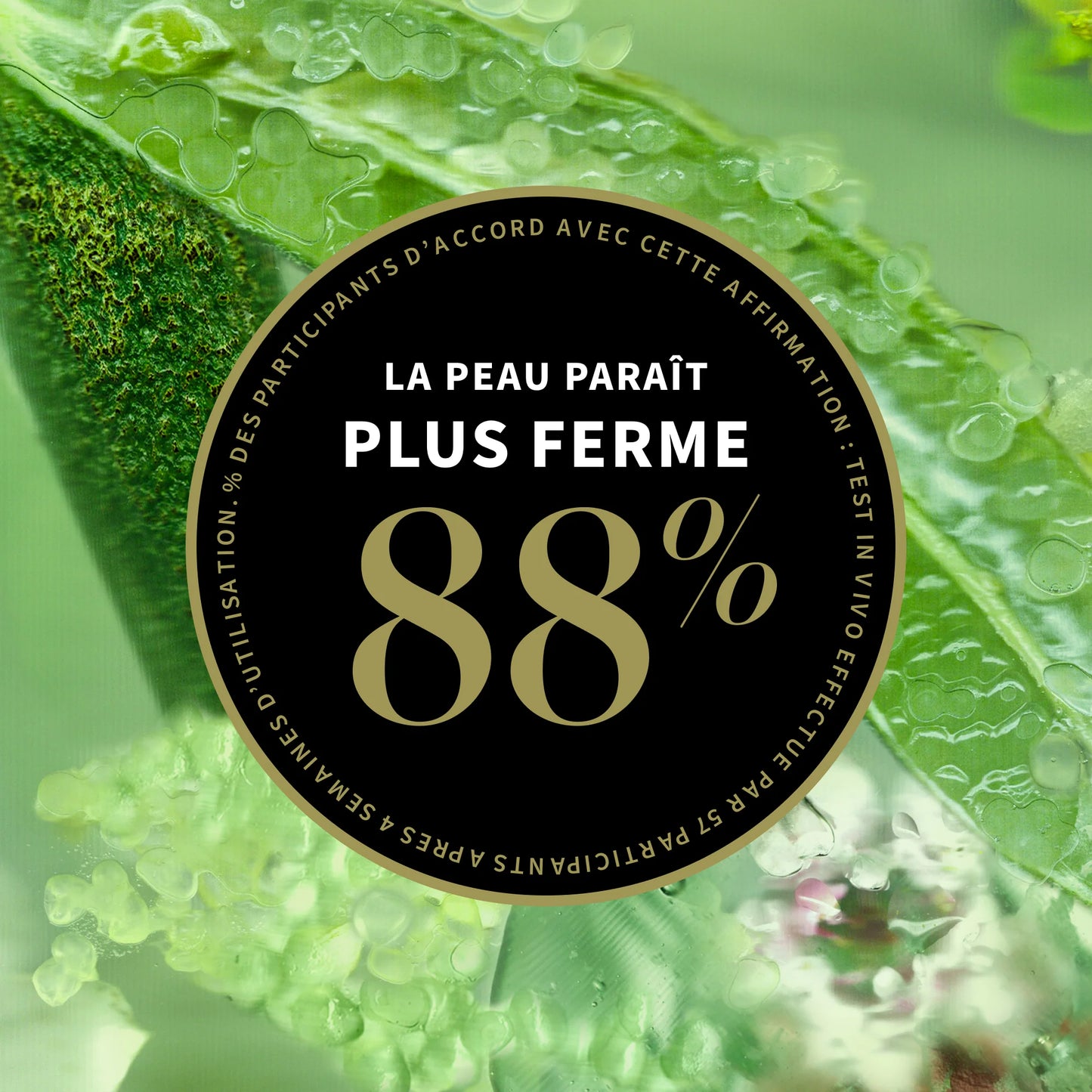 LIME CAVIAR - CRÈME RAFFERMISSANTE RICHE EN COLLAGENE