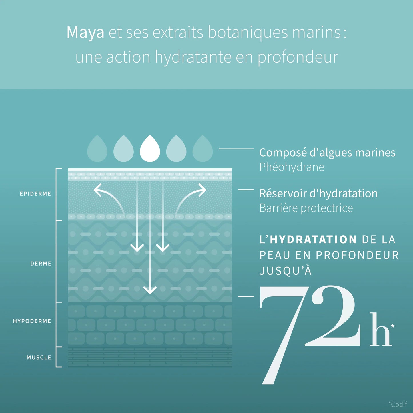 Maya Hyaluronic - Sérum Hydratant 72h