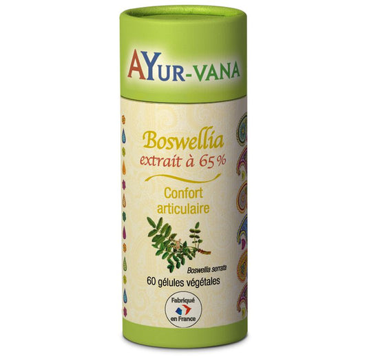 Boswellia Serrata - Extrait à 65% - AYur-vana